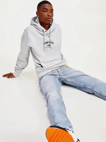 Худи и свитшоты Tommy Hilfiger модель DM0DM10208-PJ4 Фото