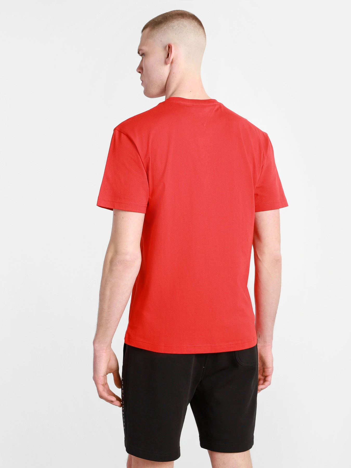 Футболки и поло Tommy Hilfiger модель DM0DM10219-XNL Футболки и поло Tommy Hilfiger модель DM0DM10219-XNL Фото