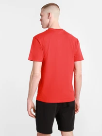 Футболки и поло Tommy Hilfiger модель DM0DM10219-XNL Фото