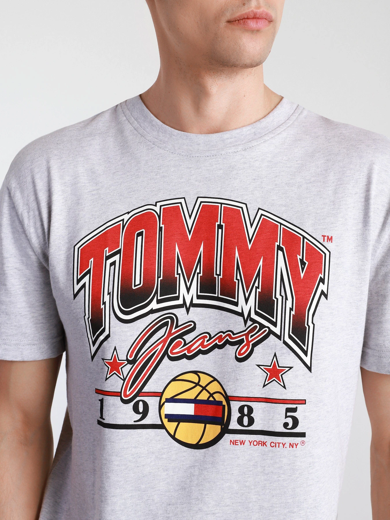 Футболки и поло Tommy Hilfiger модель DM0DM10220-PJ4 Футболки и поло Tommy Hilfiger модель DM0DM10220-PJ4 Фото