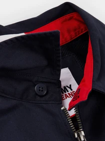 Худі та світшоти Tommy Hilfiger модель DM0DM10589-C87 Фото