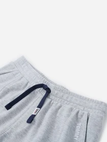 Брюки Tommy Hilfiger Scanton модель DM0DM10605-P01 Фото