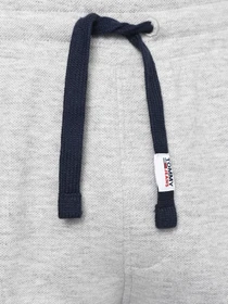 Брюки Tommy Hilfiger Scanton модель DM0DM10605-P01 Фото
