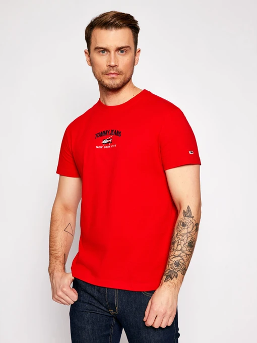Футболки и поло Tommy Hilfiger модель DM0DM10620-XNL Фото