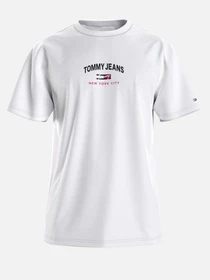 Футболки и поло Tommy Hilfiger модель DM0DM10620-YBR Фото