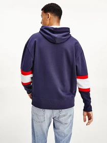 Худи и свитшоты Tommy Hilfiger модель DM0DM10657-C87 Фото