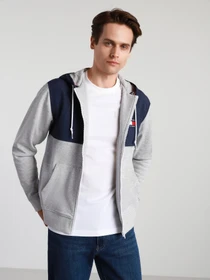Худі та світшоти Tommy Hilfiger модель DM0DM10717-P01 Фото