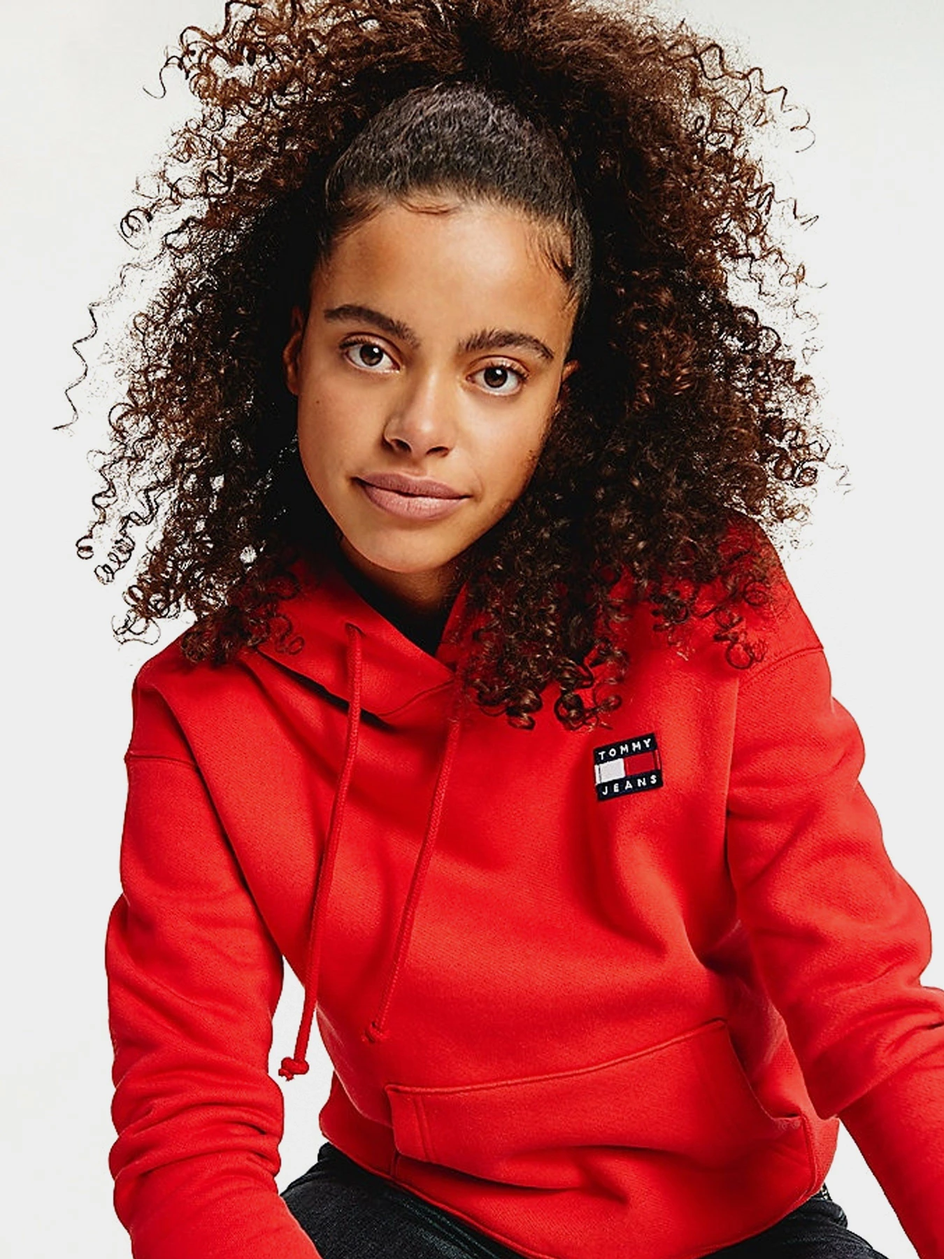 Худи и свитшоты Tommy Hilfiger модель DW0DW07787-XNL Худи и свитшоты Tommy Hilfiger модель DW0DW07787-XNL Фото