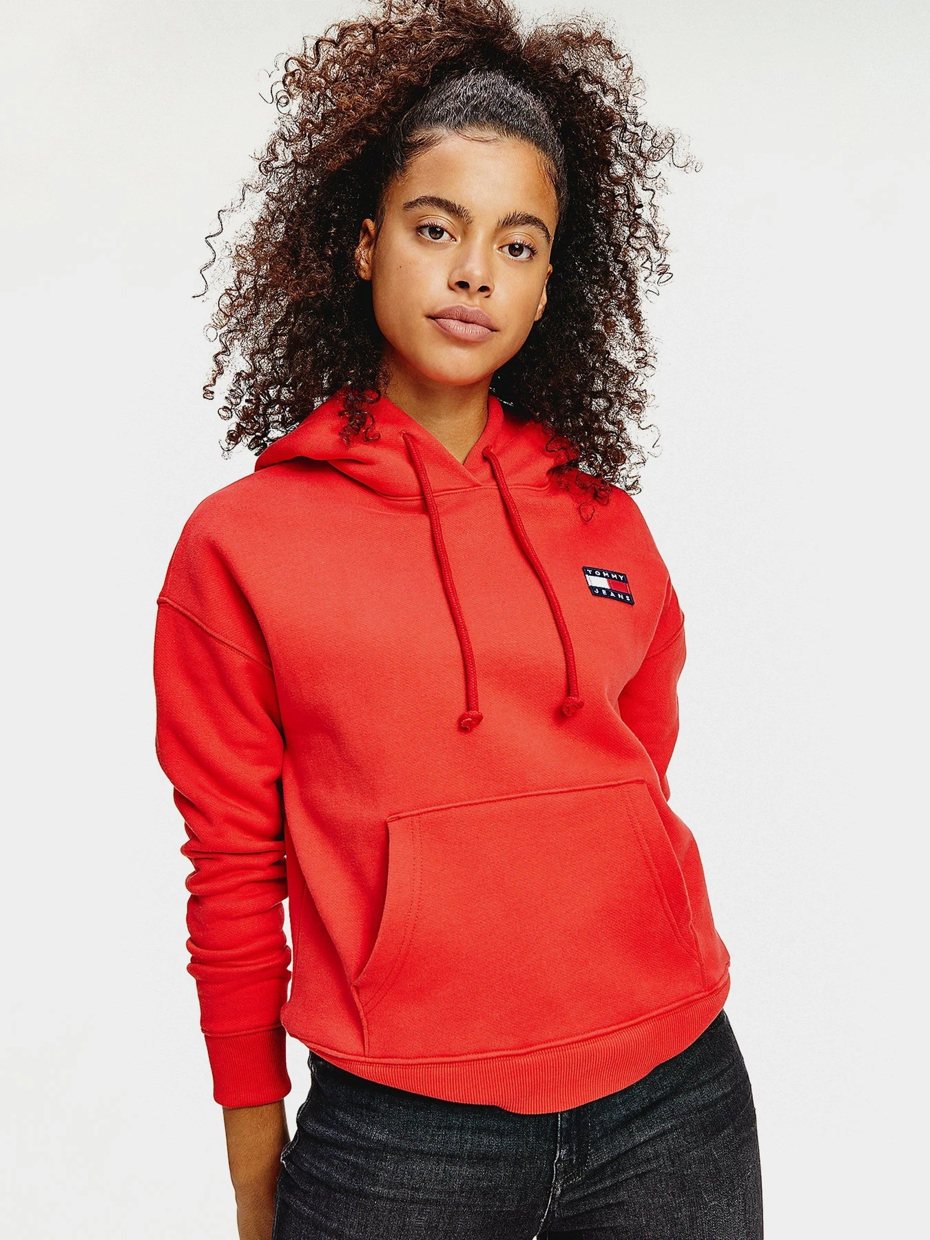 Худи и свитшоты Tommy Hilfiger модель DW0DW07787-XNL Худи и свитшоты Tommy Hilfiger модель DW0DW07787-XNL Фото