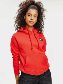 Худи и свитшоты Tommy Hilfiger модель DW0DW07787-XNL Фото