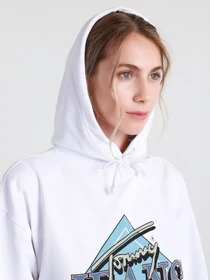 Худи и свитшоты Tommy Hilfiger модель DW0DW09796-YBR Фото