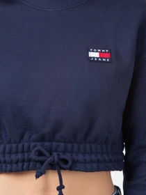 Худи и свитшоты Tommy Hilfiger модель DW0DW09797-C87 Фото