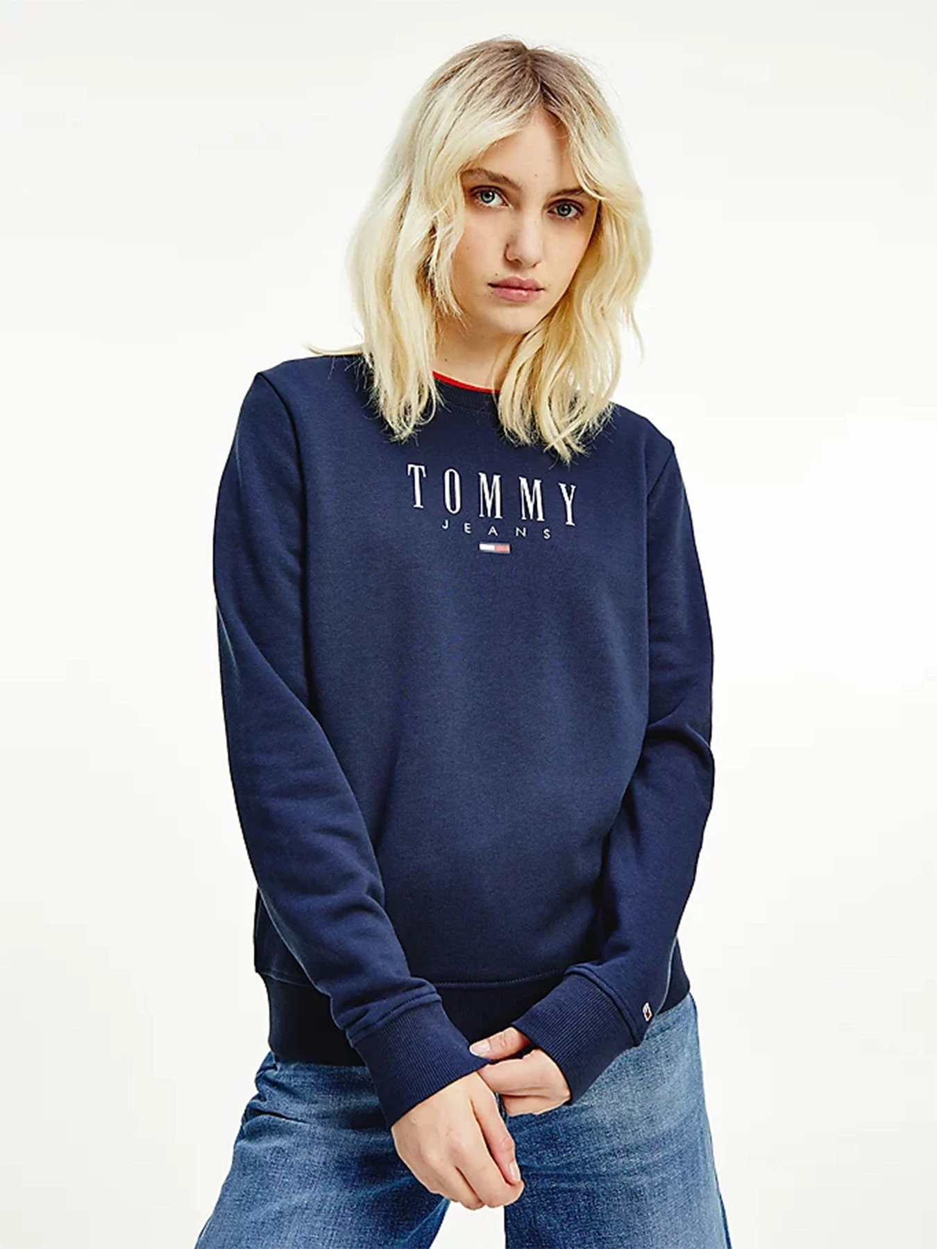 Худи и свитшоты Tommy Hilfiger модель DW0DW09918-C87 Худи и свитшоты Tommy Hilfiger модель DW0DW09918-C87 Фото