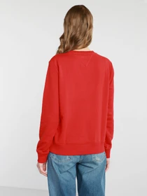 Худи и свитшоты Tommy Hilfiger модель DW0DW09918-XNL Фото