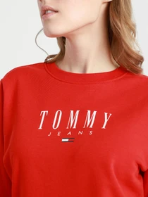 Худи и свитшоты Tommy Hilfiger модель DW0DW09918-XNL Фото
