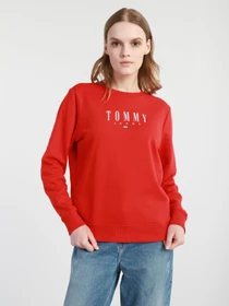 Худи и свитшоты Tommy Hilfiger модель DW0DW09918-XNL Фото