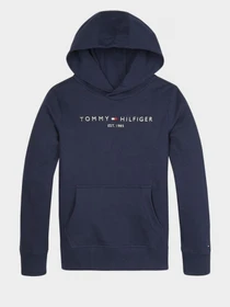 Худи и свитшоты Tommy Hilfiger Essential модель KB0KB05673-C87 Фото