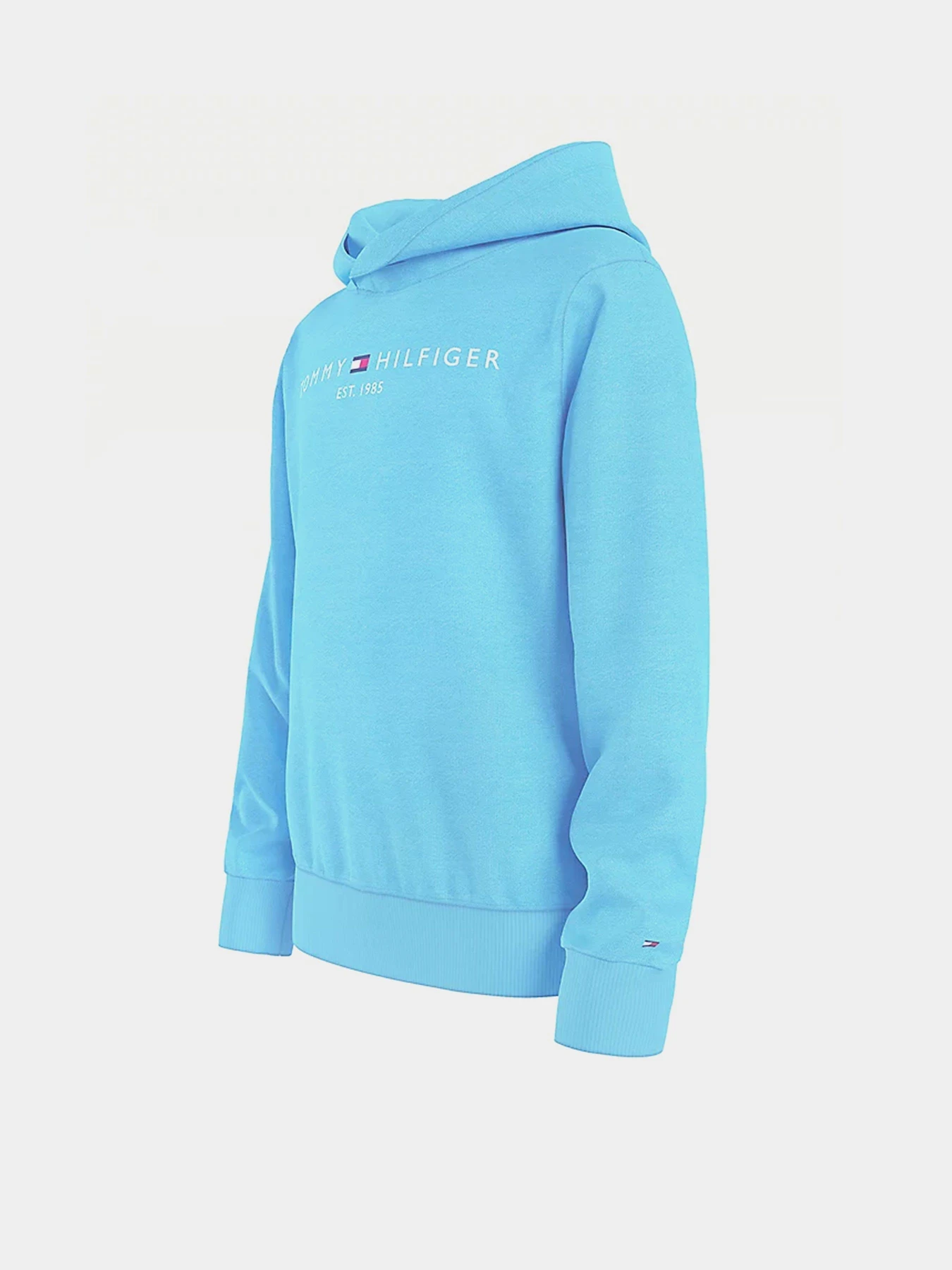 Худи и свитшоты Tommy Hilfiger Essential модель KB0KB05673-CXB Фото