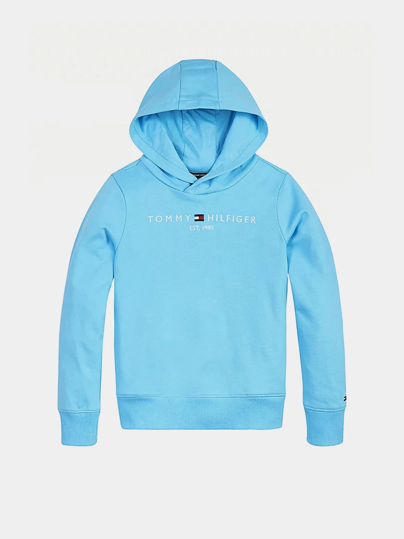 Худи и свитшоты Tommy Hilfiger Essential модель KB0KB05673-CXB Фото