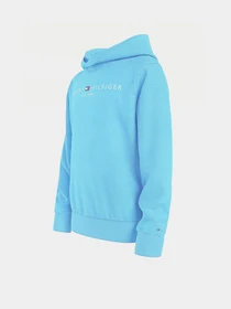 Худи и свитшоты Tommy Hilfiger Essential модель KB0KB05673-CXB Фото