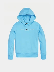 Худи и свитшоты Tommy Hilfiger Essential модель KB0KB05673-CXB Фото