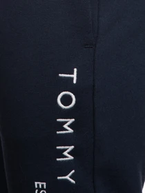Брюки Tommy Hilfiger модель KB0KB05753-C87 Фото