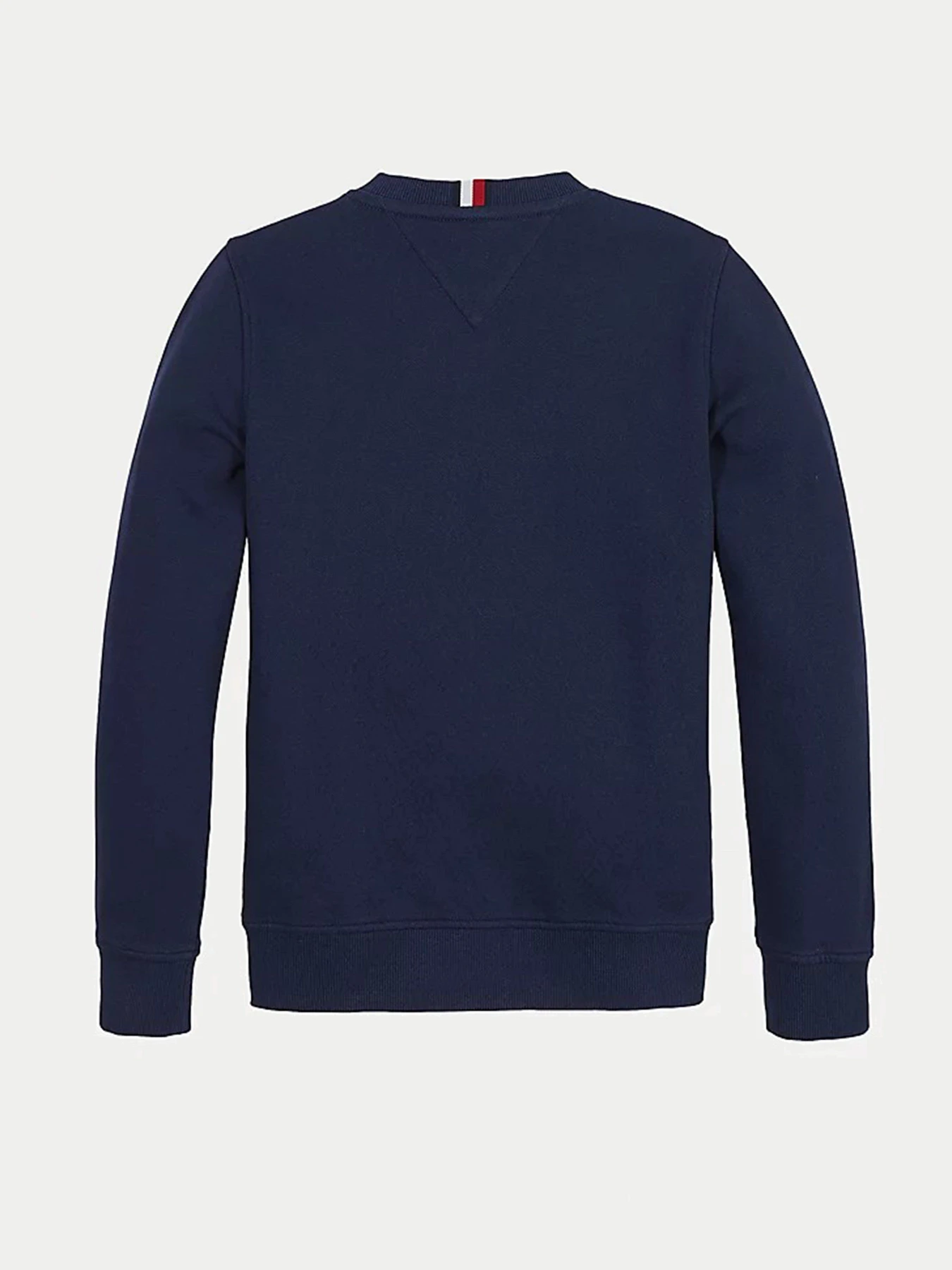 Худи и свитшоты Tommy Hilfiger модель KB0KB06346-C87 Фото