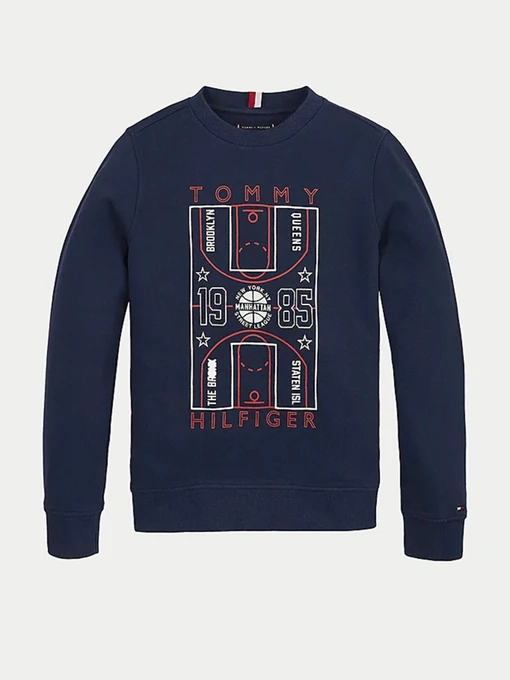 Худи и свитшоты Tommy Hilfiger модель KB0KB06346-C87 Фото