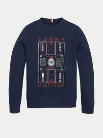 Худи и свитшоты Tommy Hilfiger модель KB0KB06346-C87 Фото