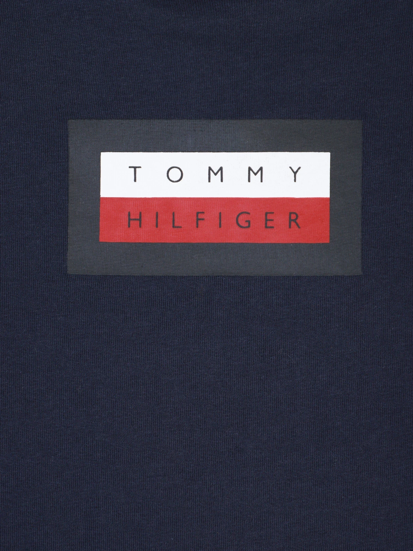 Футболки и поло Tommy Hilfiger модель KB0KB06518-C87 Фото