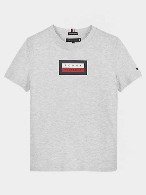 Футболки и поло Tommy Hilfiger модель KB0KB06518-PZ1 Фото