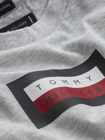 Футболки и поло Tommy Hilfiger модель KB0KB06518-PZ1 Фото