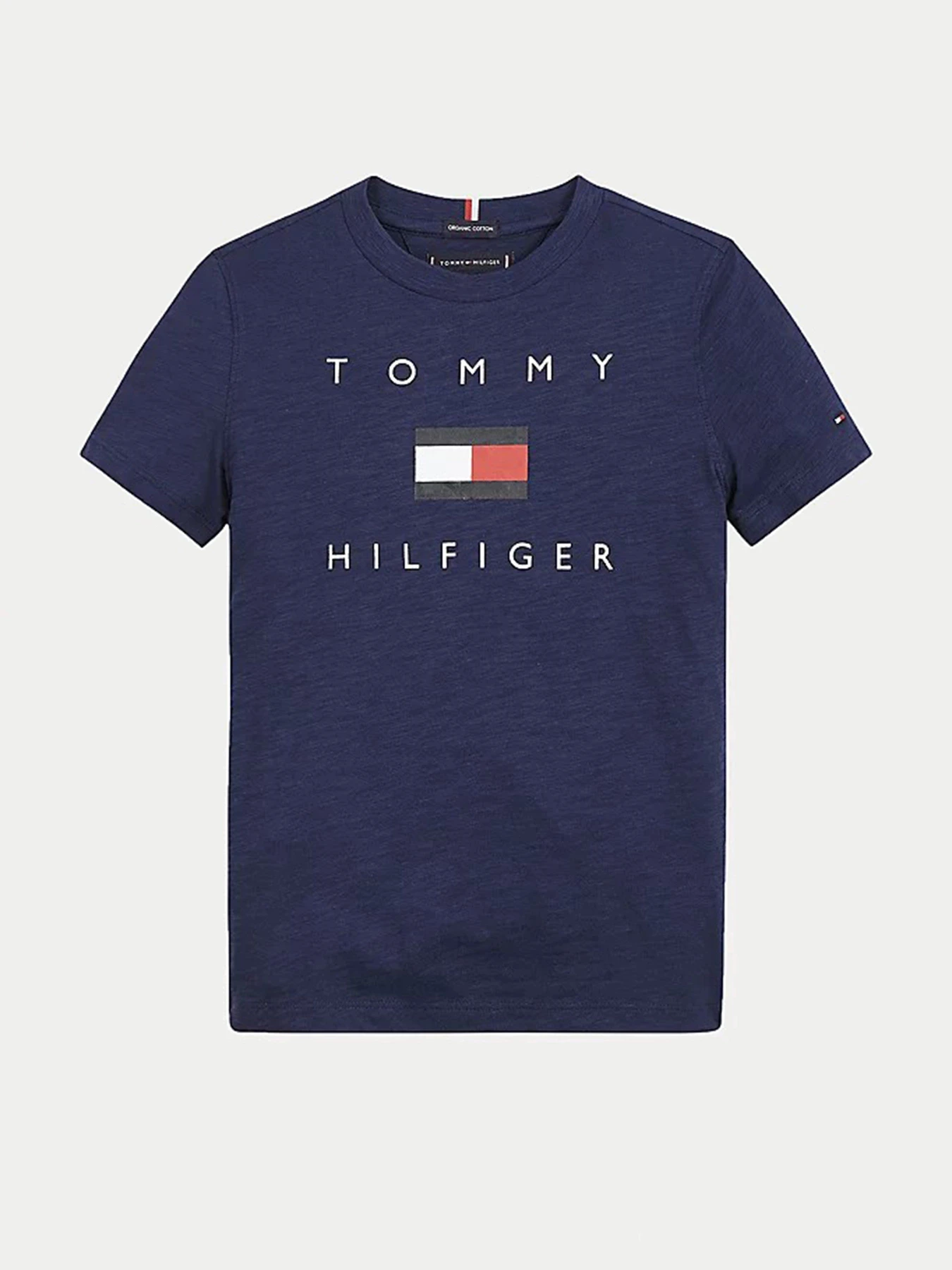 Футболки и поло Tommy Hilfiger модель KB0KB06523-C87 Фото