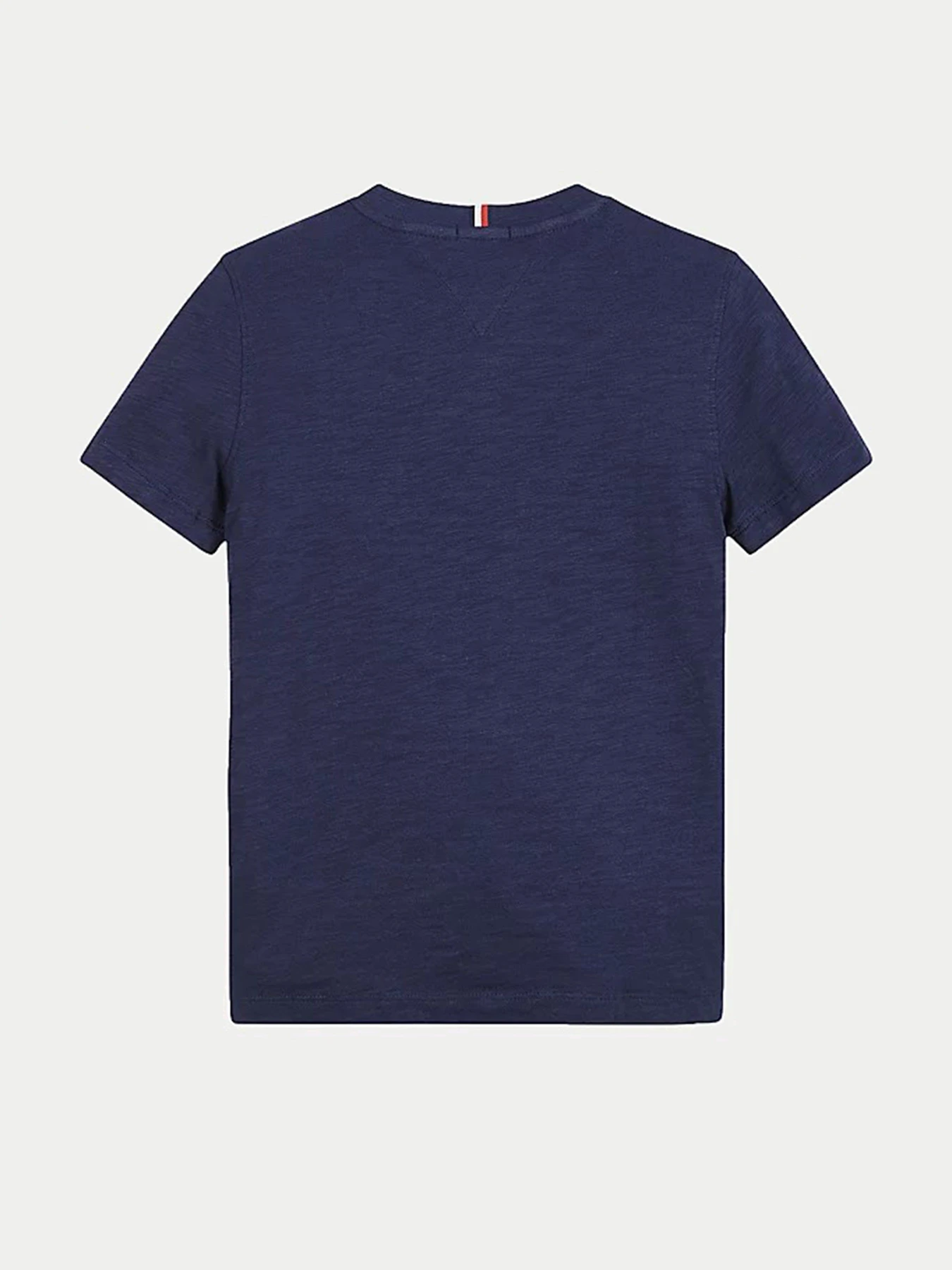 Футболки и поло Tommy Hilfiger модель KB0KB06523-C87 Фото