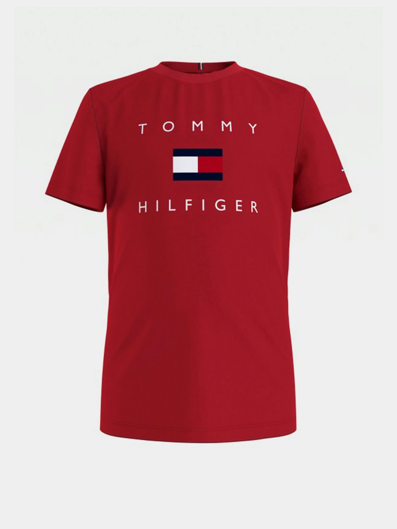 Футболки и поло Tommy Hilfiger модель KB0KB06523-XNL Фото