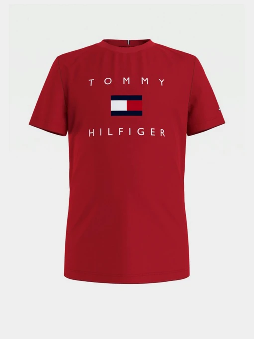 Футболки и поло Tommy Hilfiger модель KB0KB06523-XNL Фото