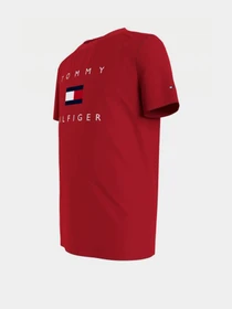 Футболки и поло Tommy Hilfiger модель KB0KB06523-XNL Фото