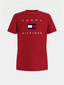 Футболки и поло Tommy Hilfiger модель KB0KB06523-XNL Фото