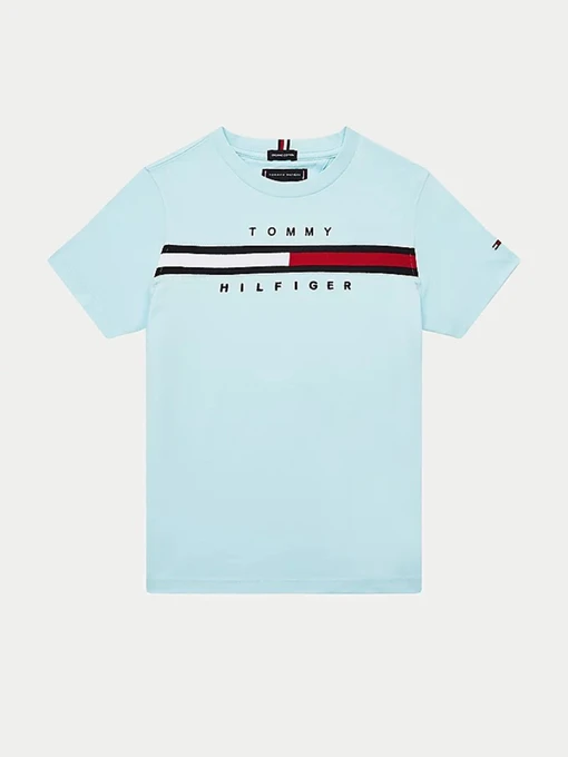 Футболки и поло Tommy Hilfiger модель KB0KB06532-CUT Фото