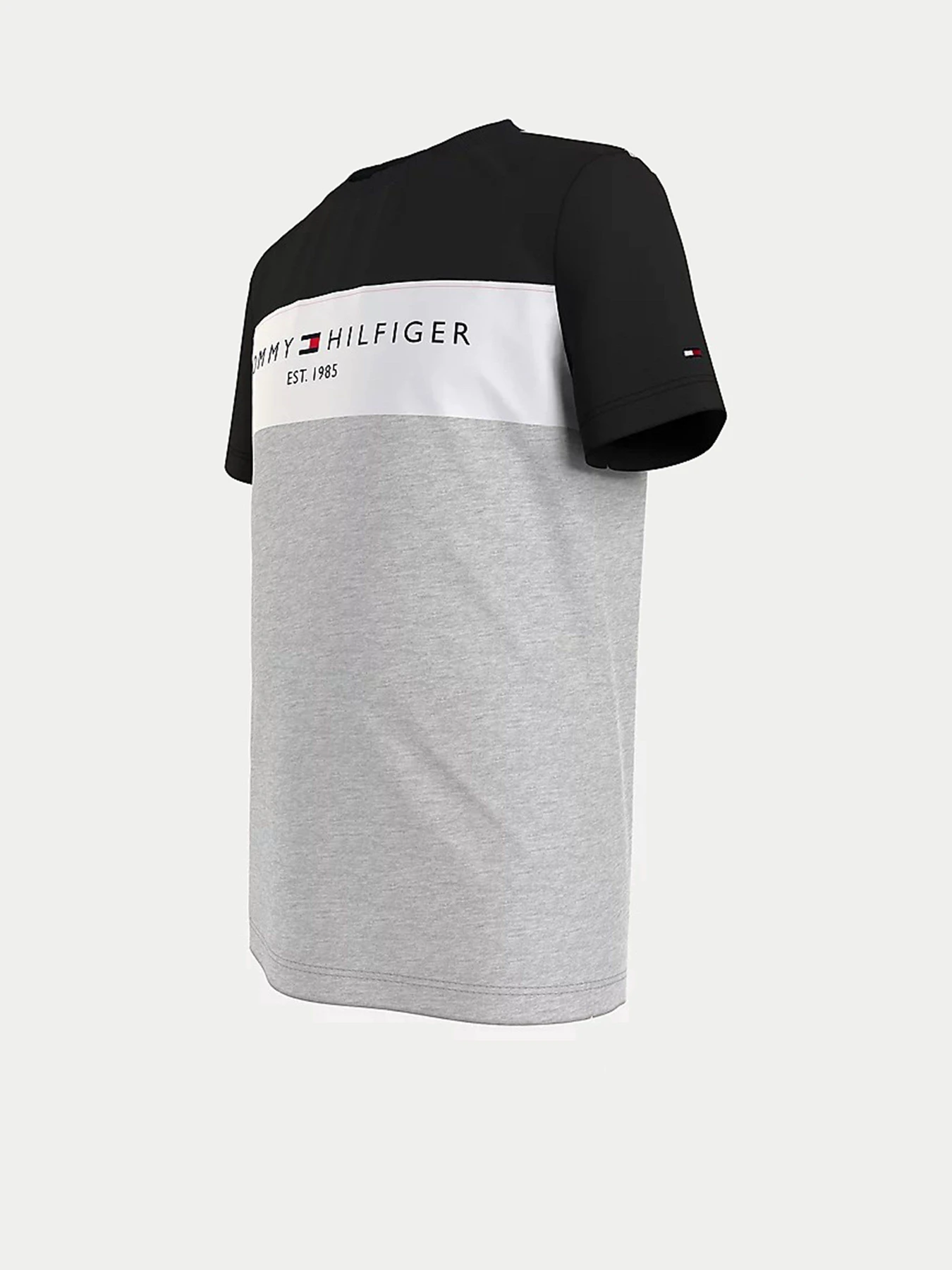 Футболки и поло Tommy Hilfiger модель KB0KB06534-PZ1 Фото