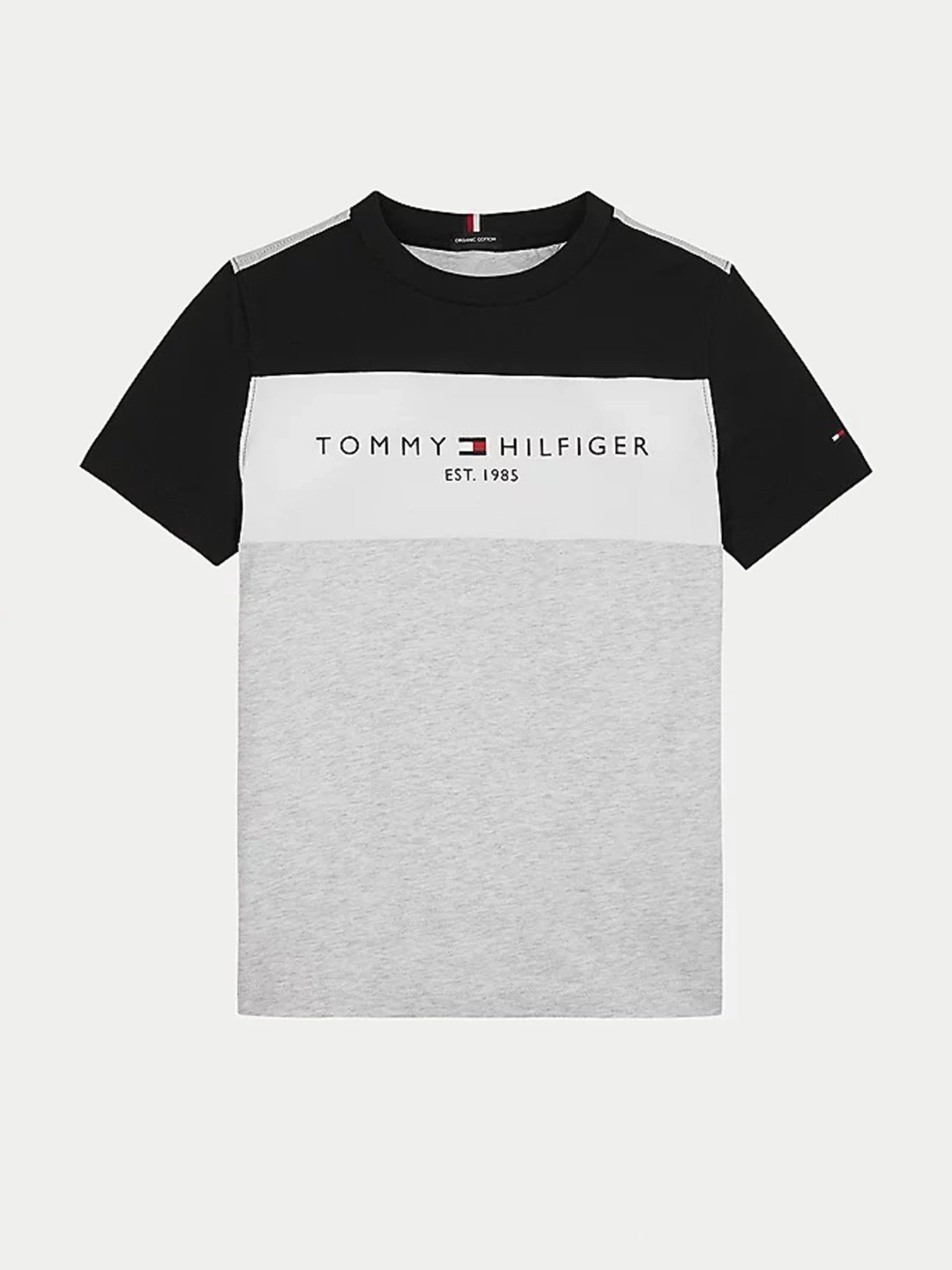 Футболки и поло Tommy Hilfiger модель KB0KB06534-PZ1 Фото