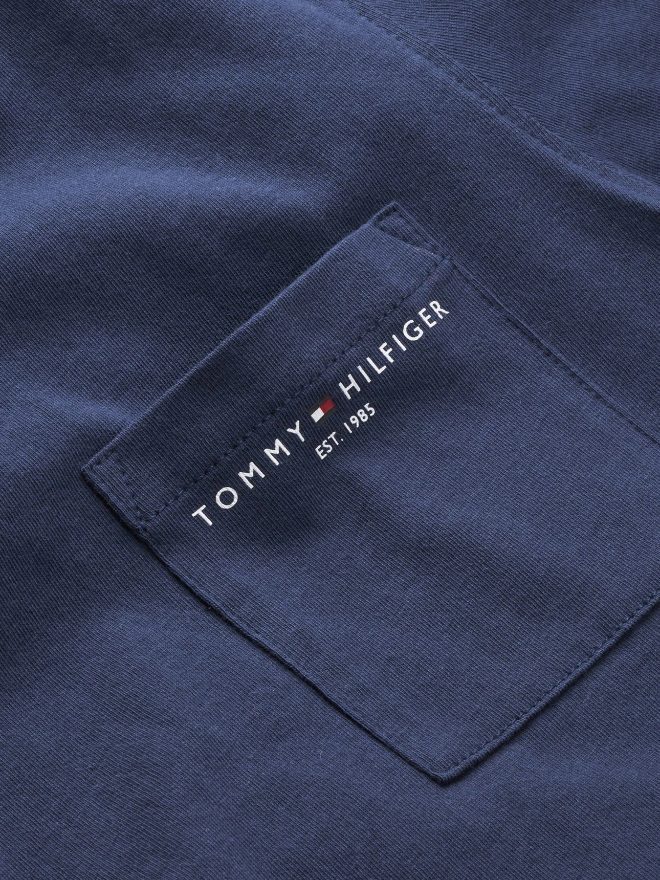 Футболки и поло Tommy Hilfiger модель KB0KB06556-C87 Фото