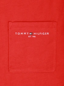 Футболки и поло Tommy Hilfiger модель KB0KB06556-XNL Фото