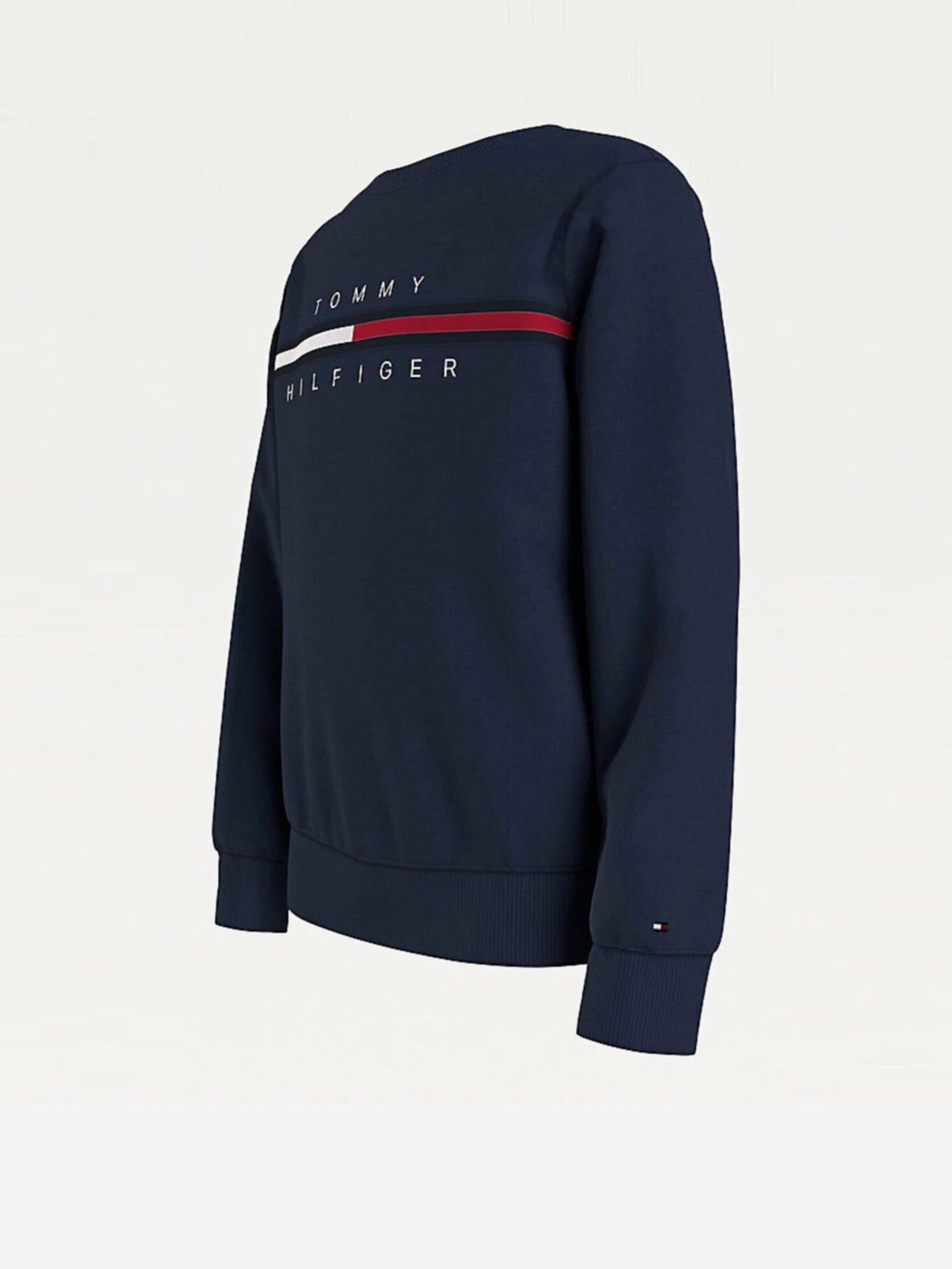 Худи и свитшоты Tommy Hilfiger модель KB0KB06568-C87 Фото