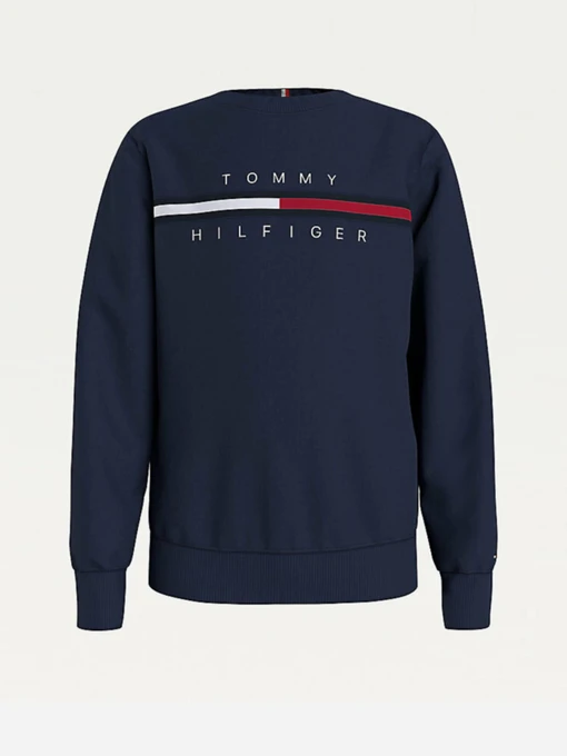 Худи и свитшоты Tommy Hilfiger модель KB0KB06568-C87 Фото