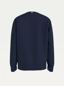 Худи и свитшоты Tommy Hilfiger модель KB0KB06568-C87 Фото