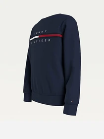 Худи и свитшоты Tommy Hilfiger модель KB0KB06568-C87 Фото