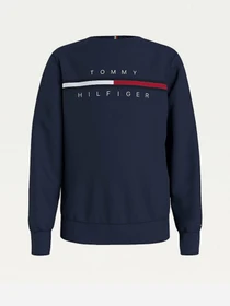 Худи и свитшоты Tommy Hilfiger модель KB0KB06568-C87 Фото