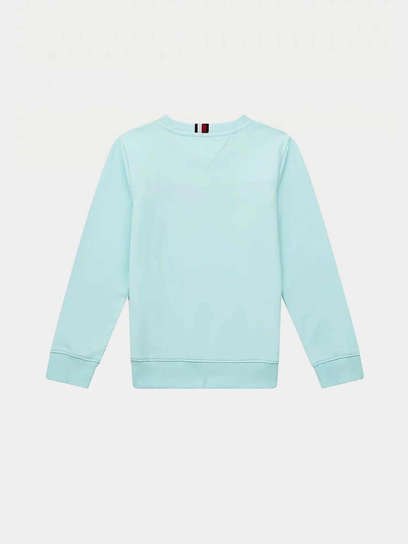 Худи и свитшоты Tommy Hilfiger модель KB0KB06568-CUT Фото