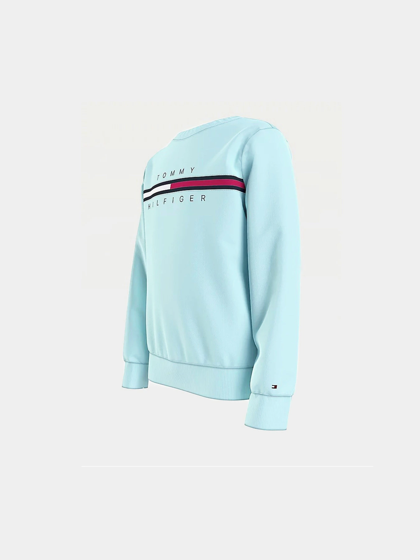 Худи и свитшоты Tommy Hilfiger модель KB0KB06568-CUT Фото